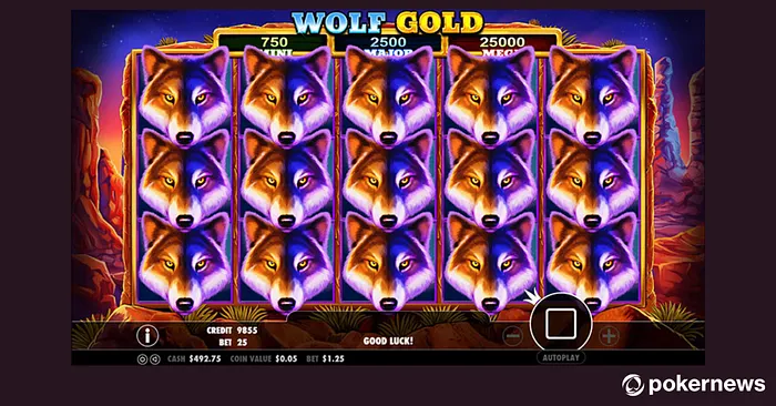 Wolf Gold