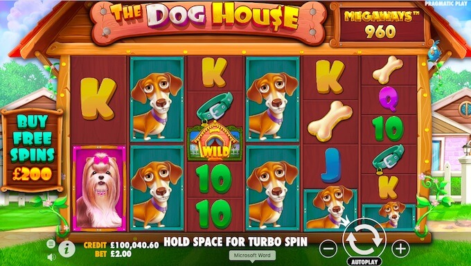 Dog House Megaways Sticky Wilds