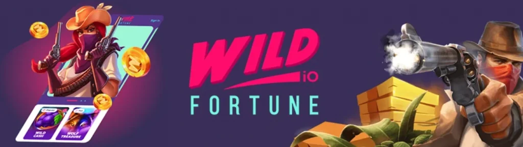 Wypłata wygranych z Wild Fortune 💰